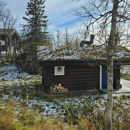 Timber With Mountain Views In Synnfjellet Skartlia