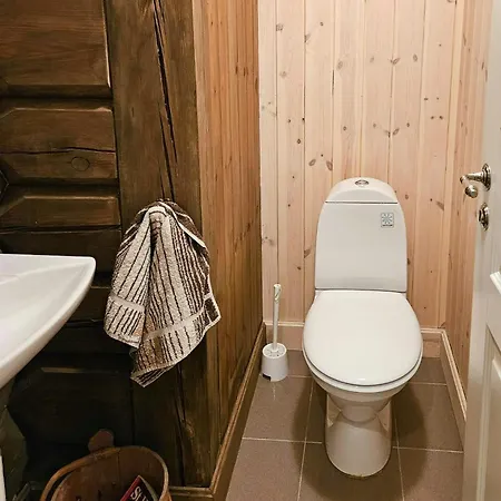 Timber With Mountain Views In Synnfjellet * Skartlia